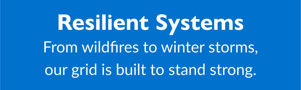 Resilient Systems: From wildfires to winter storms, our grid is built to stand strong.
